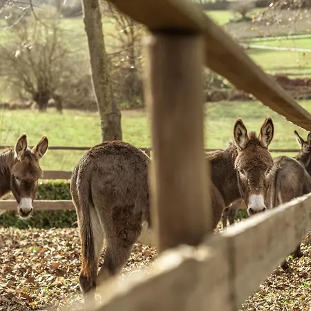 'l Piasi Farm stay Cortanze